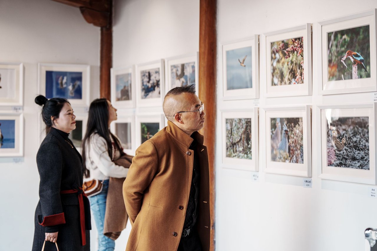 Visitantes observam fotografias expostas nas paredes de uma galeria de arte.