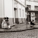 Artistas fantasiados riem juntos em uma esquina de rua calçada.